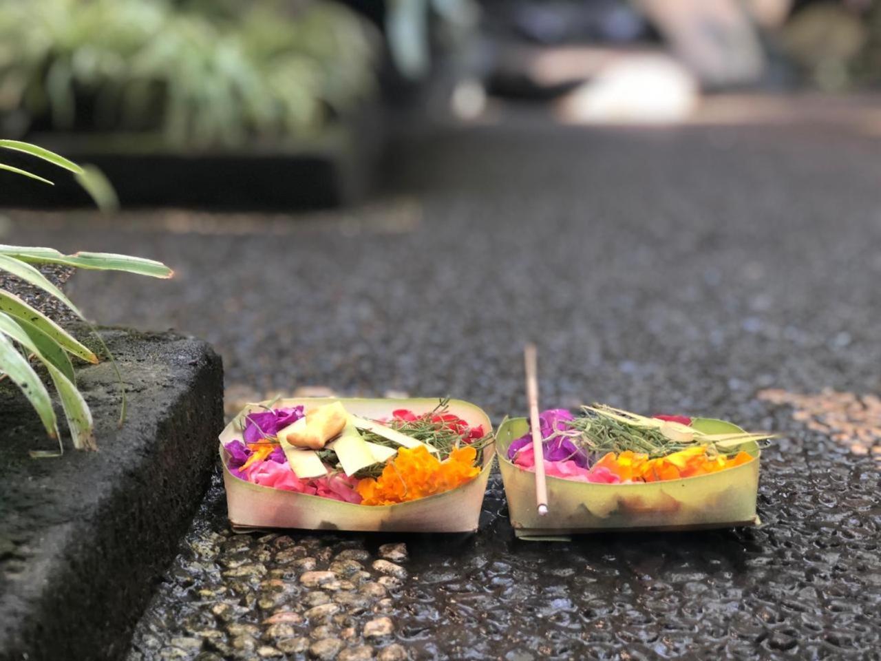 Depa House Otel Ubud Dış mekan fotoğraf